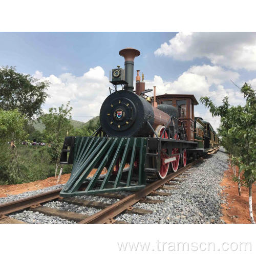 Steam engine trains with fast delivery